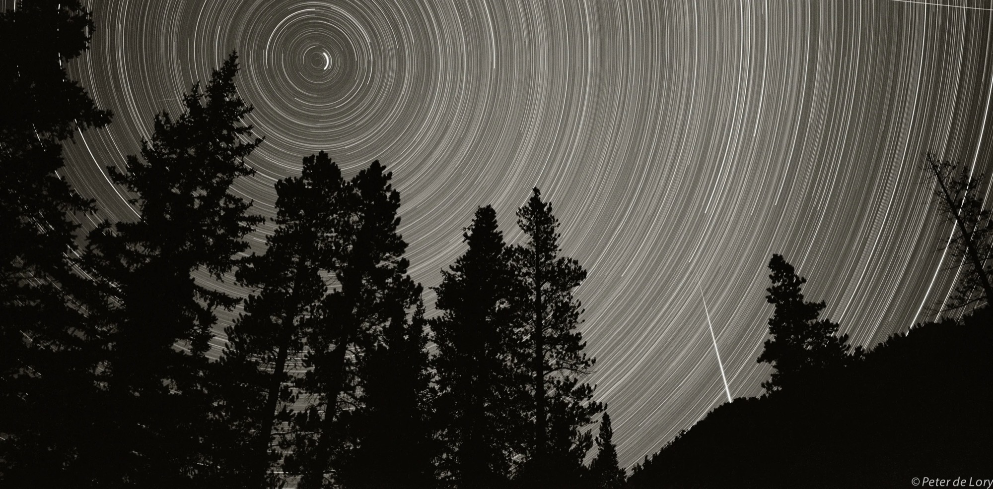 Star trails over pine silhouettes, by Peter de Lory