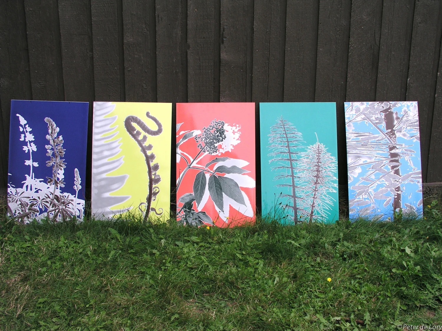 Flora — way-finding enamel signs along Longfellow Creek, Seattle, by Peter de Lory