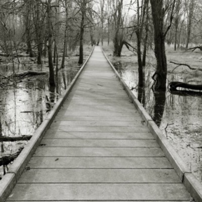 Black-and-white photograph of a wooden boardwalk running straight through a flooded, leafless forest, a lone figure visible far in the distance where the path recedes into the trees.