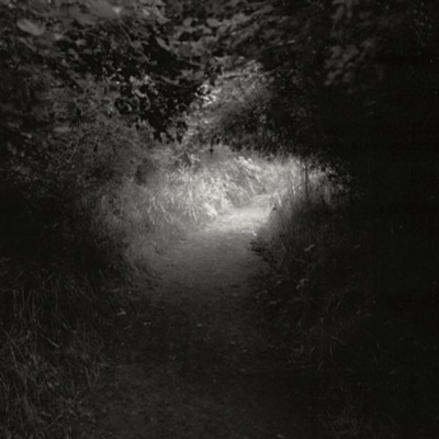 Black-and-white photograph, taken at night with a flashlight, of an illuminated dirt path cutting through tall grass and overhanging tree branches, the surroundings otherwise in darkness.