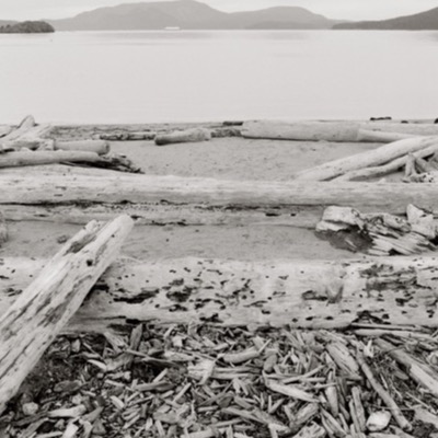 Black-and-white photograph of driftwood logs lying parallel across a beach, calm water and distant islands visible beyond, taken low to the ground.