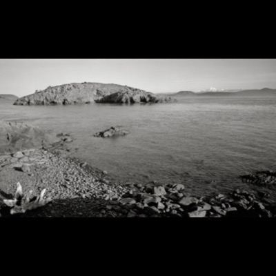 Black-and-white photograph of a lone figure standing on a rocky cliff top overlooking the sea, a small tree-covered island visible offshore.