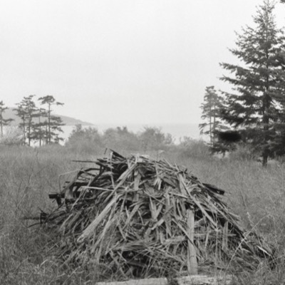 Black-and-white photograph of low evergreen trees along a rocky bluff overlooking calm water, dense cloud cover pressing low over a distant shoreline.