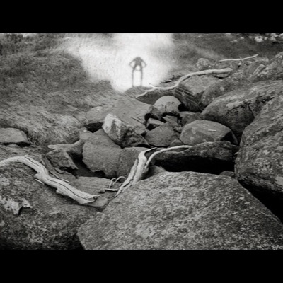 Black-and-white photograph of a jumbled boulder-and-driftwood shore, the photographer’s own long shadow cast across the rocks toward tall dune grass.