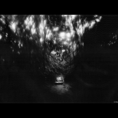 Black-and-white photograph, a long exposure taken through a moving car window, of a vintage car’s taillights glowing on a dark, tree-tunneled road, light streaking through the overhanging branches above.
