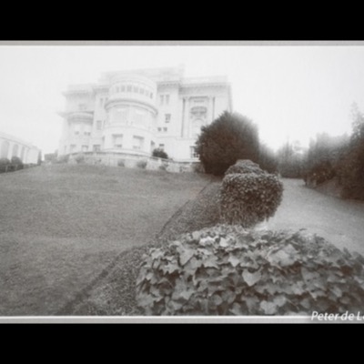 Black-and-white photograph of an ornate Pacific Heights mansion seen from its front lawn, an ivy-topped hedge and manicured grounds in the foreground, the building softly overexposed against a bright sky.