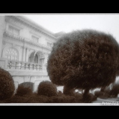 Black-and-white photograph of the mansion’s facade and balustraded balcony seen past a row of rounded, sheared hedges on the front lawn.