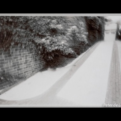Black-and-white photograph of a brick driveway curving alongside an ivy-covered wall toward a bright gateway and garage in the distance.