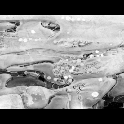 Black-and-white photograph, an abstract aerial view of layered, organic ice formations pooled with bubble-like circular patterns and scattered bright highlights.