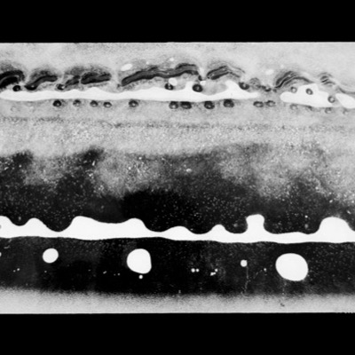 Black-and-white photograph, an abstract close-up of two wavy white bands of ice rippling across a dark, star-flecked surface, round bubble-like spots scattered along each band.