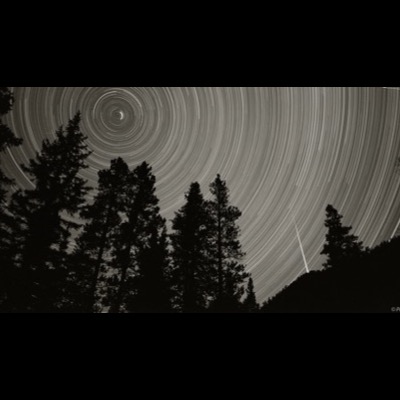 Black-and-white photograph, a long exposure, of concentric star trails circling above a silhouetted line of pine trees, with a bright streak crossing the sky.