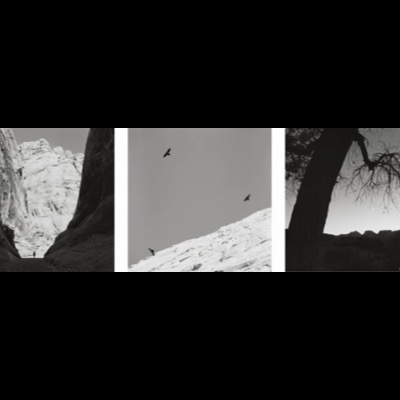 Three black-and-white photographs: a lone figure walking through a narrow slot canyon between towering rock walls, two ravens gliding over a pale sandstone dome, and a bare, dead tree silhouetted beside the moon at dusk.