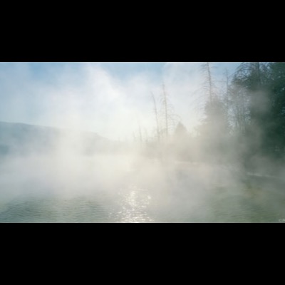 Color photograph of dense steam rising off a hot spring at sunrise, bare dead trees silhouetted in the mist against a soft blue sky and glowing water.