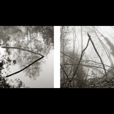 Diptych, "Signs in the Woods": a forked branch reflected upside-down in still water on the left, and a similar forked branch caught upright in misty underbrush on the right.