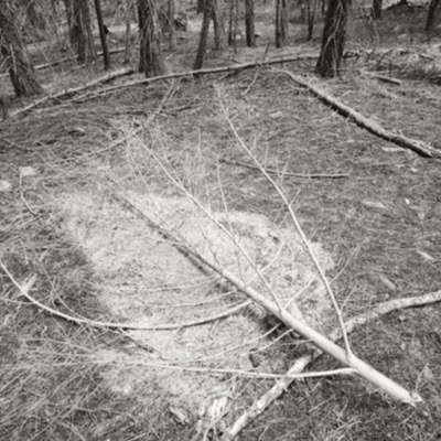 Black-and-white photograph of a ring of fallen branches encircling a bare patch of forest floor, more downed trees and undergrowth surrounding the small clearing.