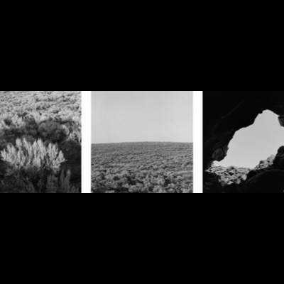 Three black-and-white photographs: sunlit sagebrush close up, an open expanse of sagebrush flats meeting a flat horizon, and a jagged hole broken through a dark cave wall revealing bright sky beyond.