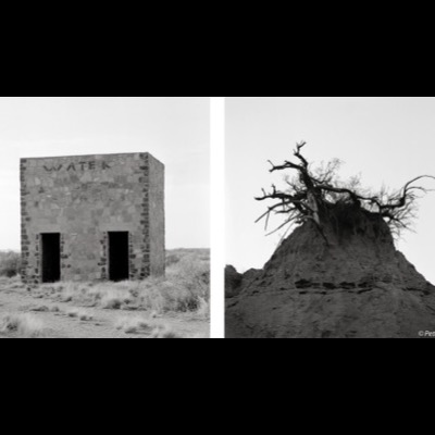 Two black-and-white photographs: a stone "WATER" storage building standing alone on open range, and a dead, root-exposed tree perched atop an eroded earthen mound.