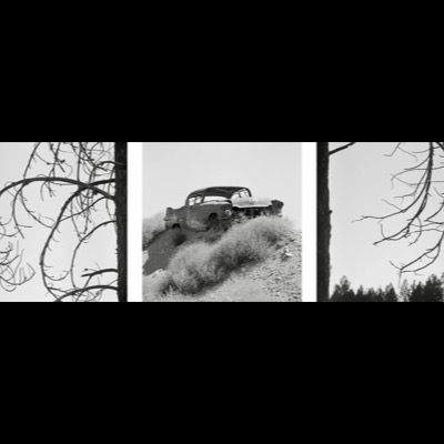Three black-and-white photographs of a bare dead pine branch curving against open sky, each panel a slightly different framing of the same branch.