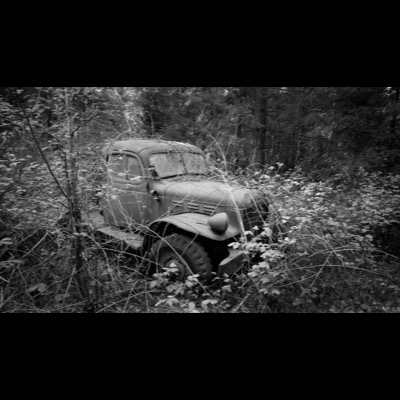 Black-and-white photograph of a rusted, vine-covered vintage truck cab abandoned in dense forest undergrowth.