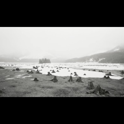 Black-and-white photograph of a snow-patched, logged valley floor studded with hundreds of tree stumps, framed by fog-shrouded mountains.