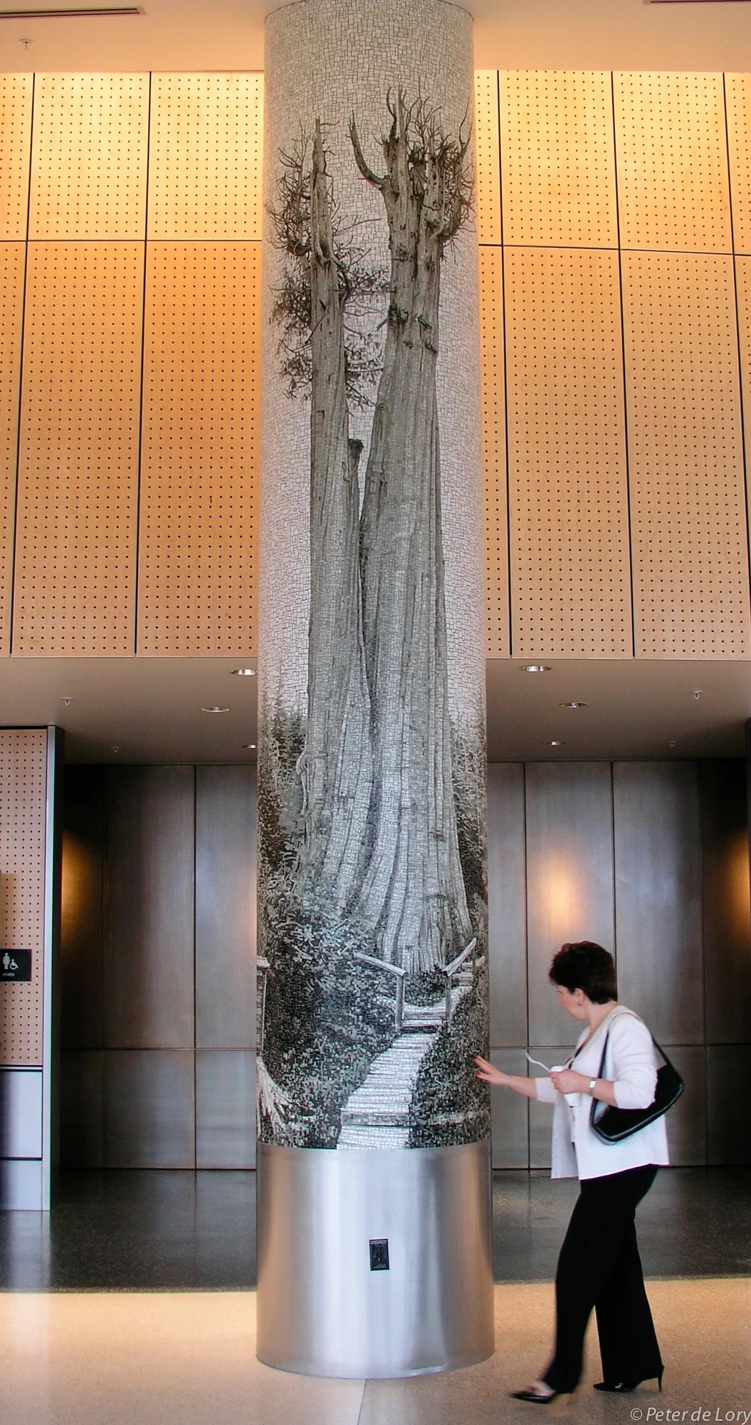 Champion — the Noland Creek Redcedar, by Peter de Lory; sited at Sea-Tac Airport