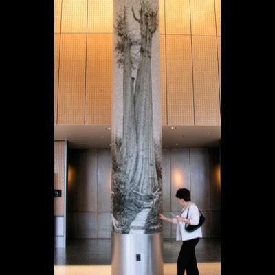 Photograph of the finished "Champion" mosaic wrapping a floor-to-ceiling column at Sea-Tac Airport, showing the world’s largest western red cedar with its double trunk and boardwalk, a passerby reading a wall plaque beside it.