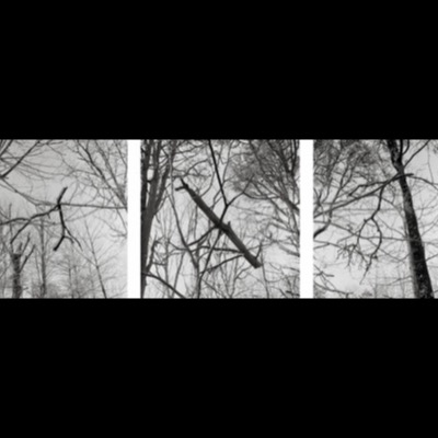 Three black-and-white photographs of bare, snow-dusted branches reaching against a plain sky, each a close study of a different tangled limb.