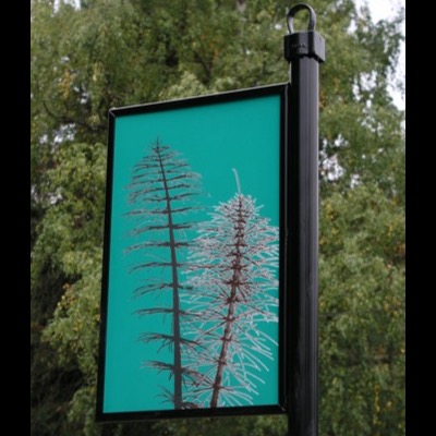 Enamel way-finding sign mounted on a black post, showing the two young conifers on teal background, framed by real trees behind it.