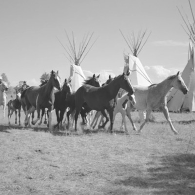 Black-and-white photograph of a gathering under a brush arbor decorated with an American flag and tribal flag, aspen saplings and a distant tree forming the shelter’s frame, a small crowd standing near the entrance.