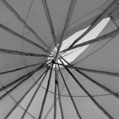 Black-and-white close-up photograph of a mounted bison head lashed with rope and hung with feathers against a central ceremonial pole, hills and fence visible behind.