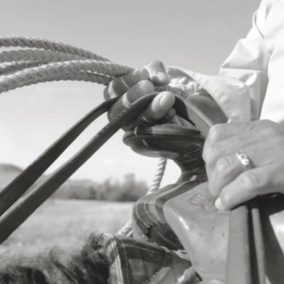Black-and-white close-up photograph of two hands gripping a coiled rope and saddle horn, one hand wearing a ring, sunlit field visible behind.