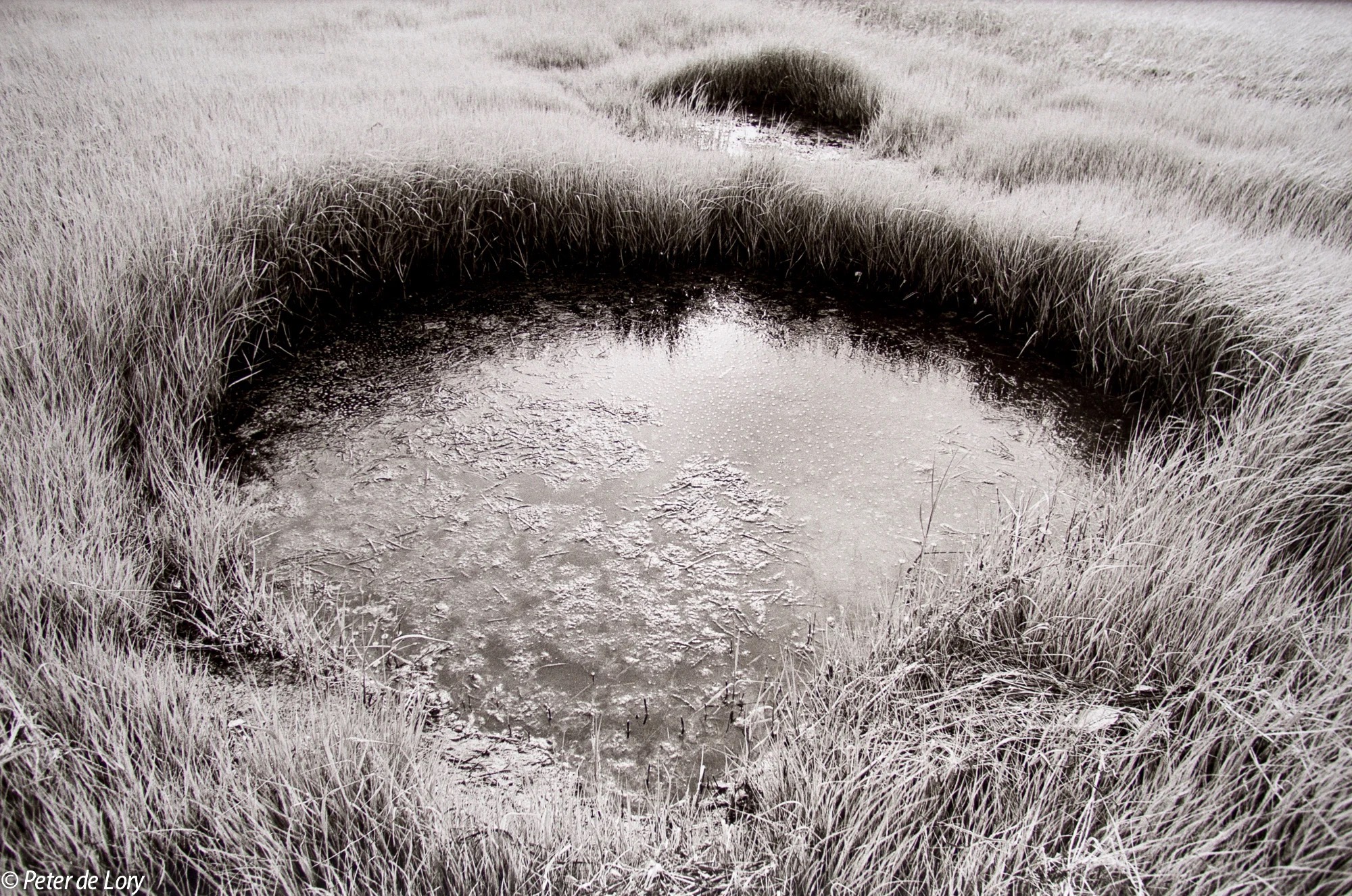 Landscape One, 1978, by Peter de Lory