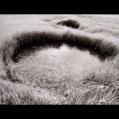 Peter de Lory, "Marsh Light," Orleans, Massachusetts, 1973 — a black-and-white photograph looking down into a round tidal pool ringed by marsh grass, its icy surface catching the light.