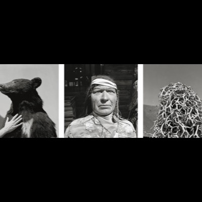Peter de Lory, "Western Epilogue", 1990 -- a black-and-white triptych: a hand touching a taxidermy bison’s chest, a costumed mannequin figure, and a pile of antlers (plate 21 of 54)