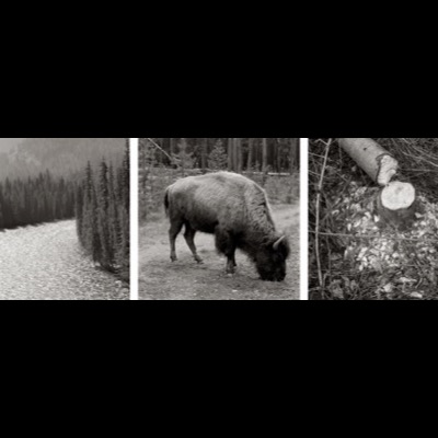 Three black-and-white photographs of petroglyphs: overlapping geometric shield designs, a small stick house carved into rock, and a masonry corner of a ruined stone structure.