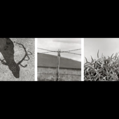 Three black-and-white photographs: a wire-mesh sculpture of a globe rising above tree canopy, the open engine bay of an old pickup truck, and an aerial view of eroded badland ridges.