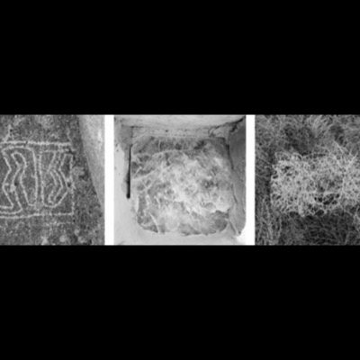 Peter de Lory, "Tracks, Nevada", 1988 -- a black-and-white photograph of looping tire tracks curving through sand before a still lake and distant mountains (plate 29 of 54)