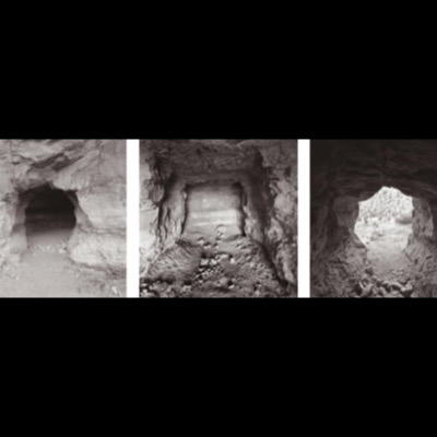 Peter de Lory, "Desert Tree, Fire, and Rain", 1990 -- a black-and-white triptych: a solitary cottonwood standing alone in open desert, a blazing brushwood campfire at night, and a wind-bent tree seen through misty rain (plate 36 of 54)
