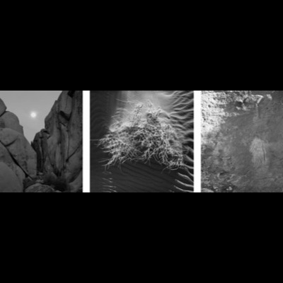 Three black-and-white photographs: moonrise glowing between dark rock formations, a tumbleweed lit against rippled sand dunes, and a faint humanoid petroglyph figure carved into rock.