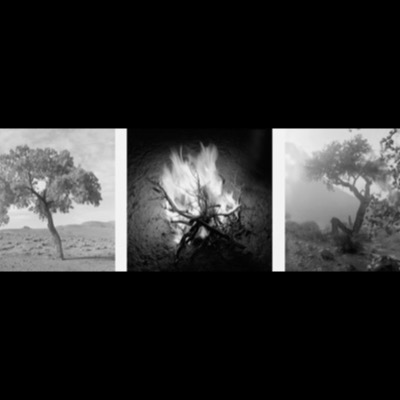 Three black-and-white photographs: a hazy mountain silhouette rising through dust or fog, a sagebrush-covered slope meeting a pale flat below, and a small rocky island rising from calm water.