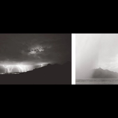 Peter de Lory, "Desert Tree, Fire, and Rain", 1990 -- a black-and-white triptych: a solitary cottonwood in open desert, a burning brushwood campfire at night, and a wind-bent tree seen through misty rain (plate 44 of 54)