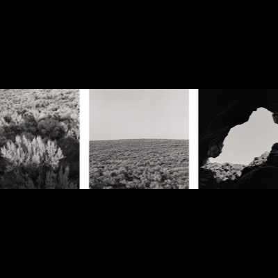 Three black-and-white photographs: sunlit sagebrush close and from a distance across flat high-desert terrain, and a bright opening framed by a dark cave mouth looking out onto open sky.