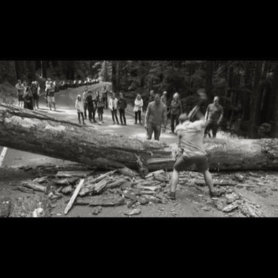 Black-and-white panoramic photograph of a crowd watching from a forest road as a man swings an axe to clear a massive fallen tree blocking the pavement, cars queued behind them.