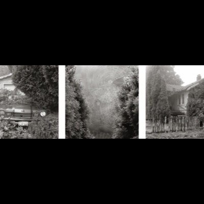 Three black-and-white photographs: the grille of an old car nearly swallowed by overgrown hedges beside a house, a dew-covered spiderweb strung between conifers, and a vine-covered house with a sagging porch behind a broken picket fence.