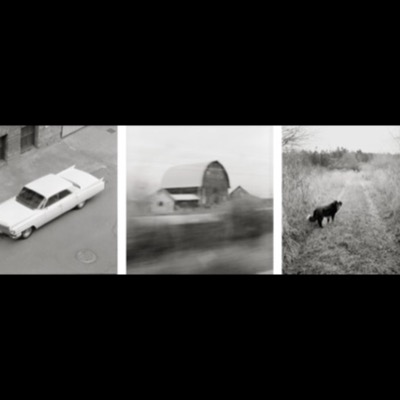 Three black-and-white photographs: a finned white sedan viewed from above on a city street, a barn blurred by motion as seen from a moving vehicle, and a dog standing on a path through tall roadside grass.