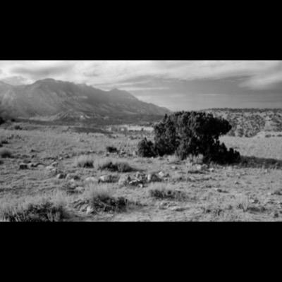 Black-and-white photograph of a solitary weathered juniper on a high-desert slope, distant sandstone cliffs and open range spreading behind it under a partly cloudy sky.