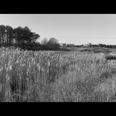 Photograph by Peter de Lory from The Cape, shown with the 1979 award
