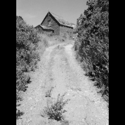 Black-and-white photograph of a shell-covered path leading uphill between dense hedges to a weathered shingle-sided cottage.