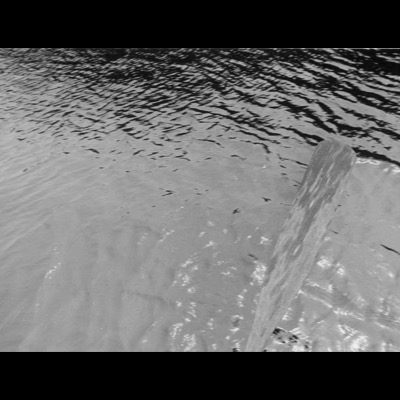 Black-and-white photograph of a wooden oar blade dipping into rippled water, tree branch reflections streaking across the surface above it.