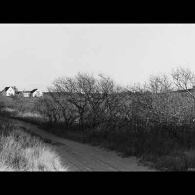 Black-and-white photograph of a sandy dirt road curving past bare, wind-shaped shrubs toward a white house on a distant rise.